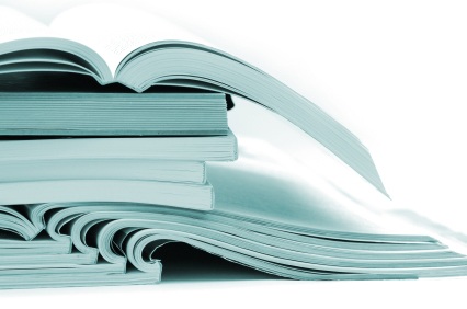Information of Personal Injury in Bellingham Area